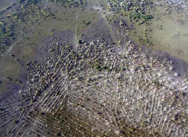 An aerial photograph shows pre-Colombian raised fields in Bolivia. (Umberto Lombardo, University of Bern, Switzerland)