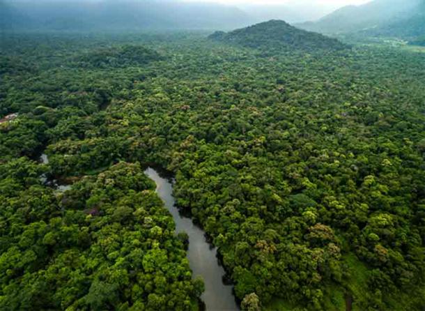 Aerial view of a river within the Amazon rainforest. (gustavofrazao / Adobe Stock)