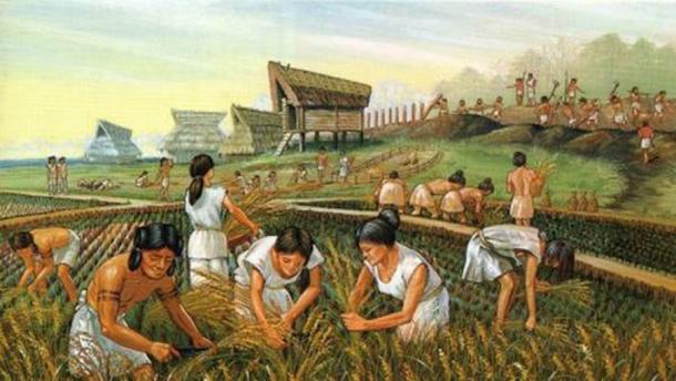 The development of agriculture changed human diet, and in so doing produced the human overbite which created a wider range of sounds. (Heritage of Japan)