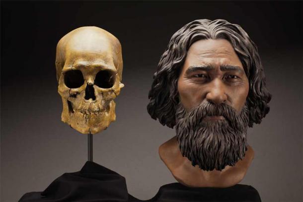 DNA analysis has been able to solve multiple mysteries related to our ancient history, such as in the case of the Kennewick Man, whose facial reconstruction can be seen above. (Brittney Tatchell / Smithsonian Institution)