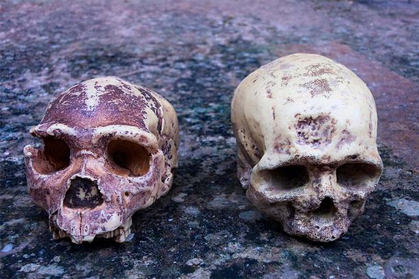 By analyzing the percentage of Neanderthal DNA in both Asian and European Homo sapiens, scientists hope to piece together the ancient history of Neanderthal and Homo sapiens. (procy_ab / Adobe Stock)