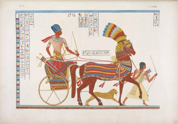 An ancient Egyptian chariot. 