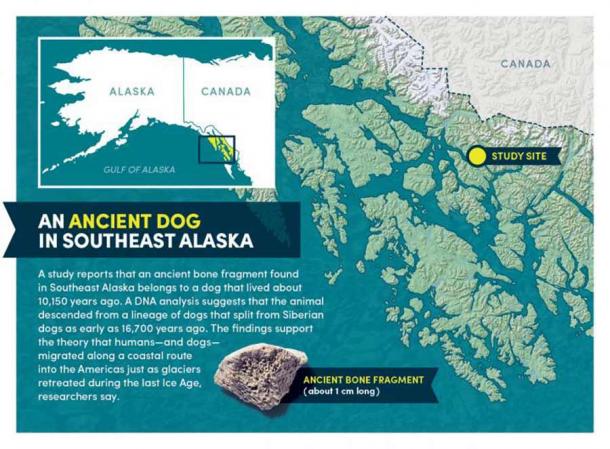 The ancient dog bone fragment and a map of the study area. (Bob Wilder / University at Buffalo)