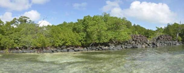 The ancient city of Nan Madol was built atop a coral reef. 