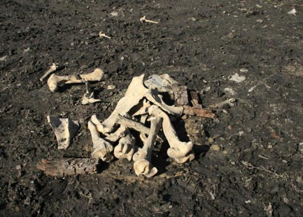 The workers smashed through the ancient grave while digging a trench for a new water pipe near Bargash village.