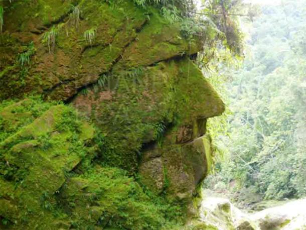 The ancient Harakbut Face in Peru’s Amarakaeri Communal Reserve. (Reserva Comunal Amarakaeri – Sernanp)