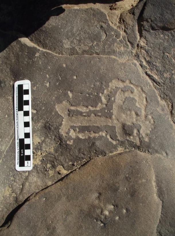 Many animal images have been found in one area