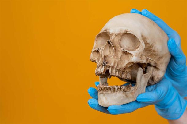 Dental anthropology is helping researchers piece together the evolution of Native American migration. (Grispb / Adobe Stock)