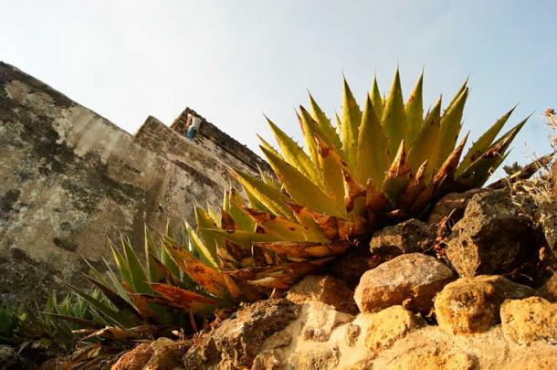 The archaeological site of El Tepozteco. (PetrohsW / CC BY-SA 4.0)