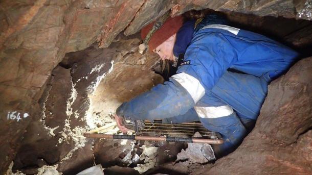 The archaeologists recorded the Ice Age animal bones in situ before removing them for further analysis. (AC Archaeology)