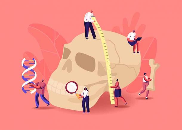 Modern archaeology is changing as fast as modern technology changes and now ancient DNA studies are changing how we view the past in new and often “corrective” ways. (ivector / Adobe Stock)