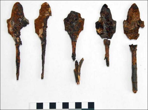 Judging by the shape of the arrow heads, I would say that the owner was a warrior.' Pictures: