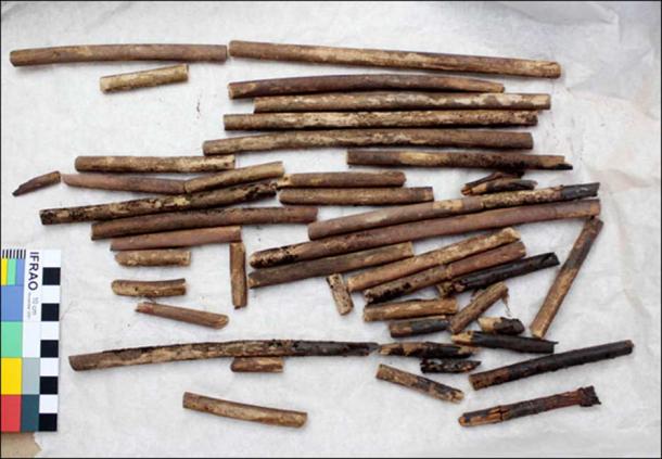 Judging by the shape of the arrow heads, I would say that the owner was a warrior.' Pictures:
