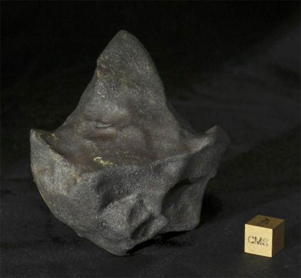 An unusual arrowhead-shaped meteorite from the fall of Aguas Zarcas.  This sample belongs to the private collector, Michael Farmer.  (Laurence Garvie / Center for Meteorite Studies, Arizona State University)