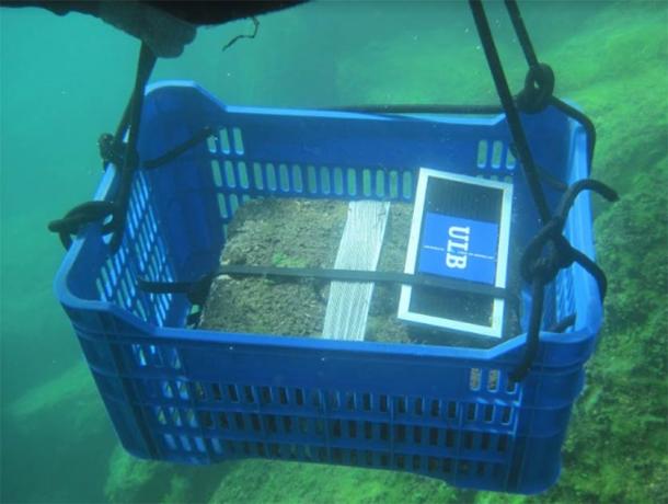 The artifacts being hauled up in a plastic container (C. Delaere / Antiquity Publications Ltd)