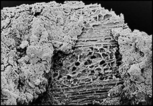 The world’s oldest cloth artifact ever from ancient Turkey up close under a scanning electron microscope. (Antiquity journal)