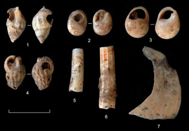 A selection of the artifacts found at the Molí del Salt site.