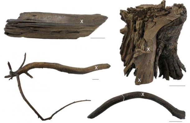 The Viking-era wooden artifacts discovered at the Newfoundland site. (M. Kuitems / Nature)