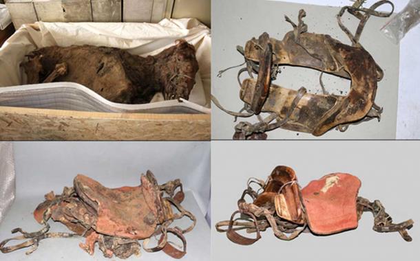 The woman is believed to have been aged between 30 and 40. 