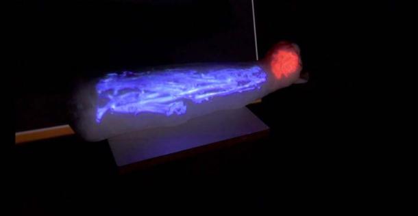 Augmented reality image of what’s inside the cat mummy. (Musée des Beaux-Arts de Rennes)