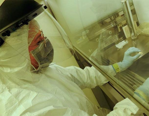 Lead author Elena Essel working in the clean laboratory on the pierced deer tooth discovered from Denisova Cave. (© MPI f. Evolutionary Anthropology/Nature)
