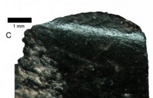 World's oldest axe fragment, seen here under a microscope, is the size of a thumbnail. 