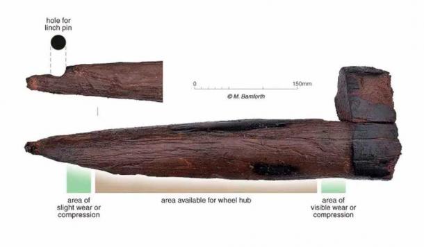 The wooden axle repurposed as a stake. (Cotswold Archaeology)