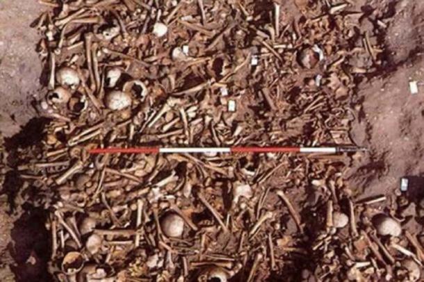 Battered and broken bodies of Viking warriors unearthed in Derbyshire, England. (Martin Biddle / University of Bristol)