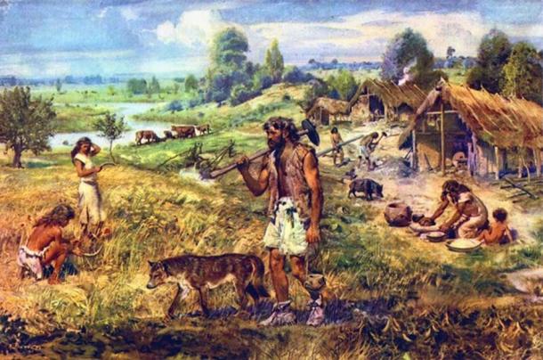 Dogs became essential farmersâ tools in the Neolithic era as they not only guarded fields and animal stocks from predators, but they doubled as effective weapons in tribal warfare.