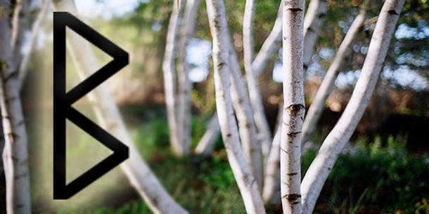 ‘Berkana’ rune and birch trees