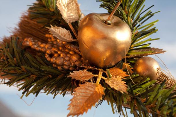 pine trees were decorate with apples to symbolize the tree of life - The Origin Of The Christmas Tree pine trees were decorate with apples to symbolize the tree of life - The Origin Of The Christmas Tree