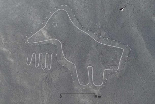 A newly discovered bird geoglyph. (Yamagata University)