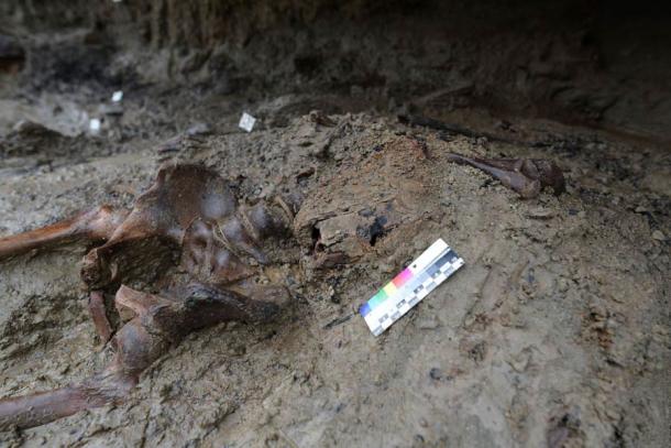 El esqueleto ennegrecido de un hombre de 40 a 45 años fue encontrado con una bandolera de tela que contenía una caja de madera y otros materiales. (Parco Archeologico di Ercolano)