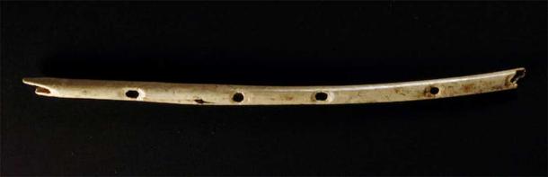 This bone flute, found at the German Palaeolithic site of Hohle Fels, is at least 42,000 years old. (Jensen/University of Tubingen/The Conversation)