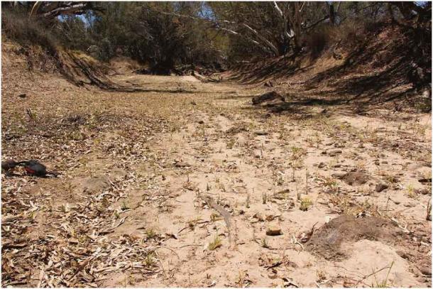 One boomerang can be seen in a dry section of the main channel of the Cooper Creek bed. (Yandruwandha Yawarrawarrka Traditional Land Owners Aboriginal Corporation)