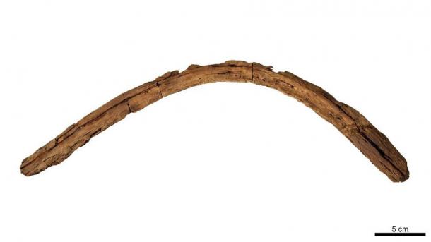 A boomerang discovered at Wyrie Swamp, in South Australia, has been dated to an incredible 10,000 years old. (South Australian Museum)