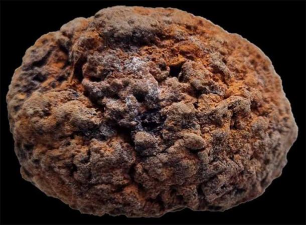 Ancient Human Brains Found Preserved Through Millennia | Ancient Origins