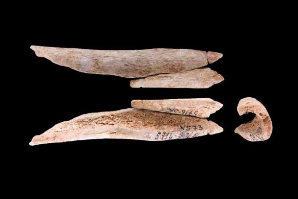Though the bulk of the bone jewelry from the Russian Yuzhniy Oleniy Ostrov Island site from the Late Stone Age was animal bone, modern science is revealing that human bones were frequently used. (Journal of Archaeological Science: Reports)