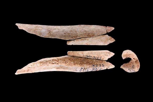 Though the bulk of the bone jewelry from the Russian Yuzhniy Oleniy Ostrov Island site from the Late Stone Age was animal bone, modern science is revealing that human bones were frequently used. (Journal of Archaeological Science: Reports)