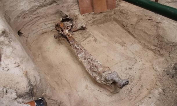 El entierro de Mayback fue levantado de la tumba para ser examinado más a fondo en condiciones de laboratorio, incluido el esqueleto y la espada vikinga. (Arqueología AOC)