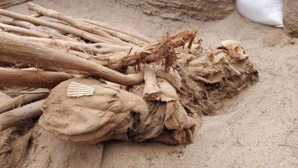 Uno de los entierros de la cultura Chilca recientemente descubiertos con una tumba de concha. (Cálida)