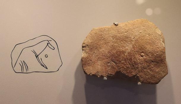 A carving of a running horse, created by the Aurignacians, from Hayonim Cave, Levant. Source: Gary Todd / CC0
