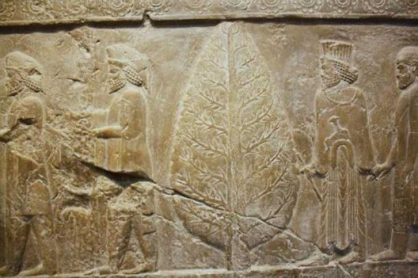 Relief carving at Persepolis, ceremonial capital of the Achaemenid Empire, depicting Mithra and an evergreen tree