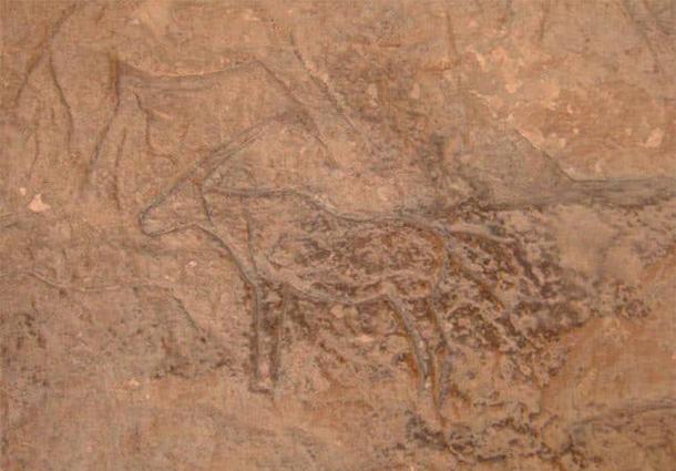 The carvings included animals such as camels, deer, mules, mountain goats and donkeys. Photo courtesy Ministry of Antiquities