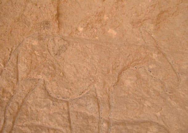 Most of the carvings projected out of the surface of the cave walls. Photo courtesy Ministry of Antiquities