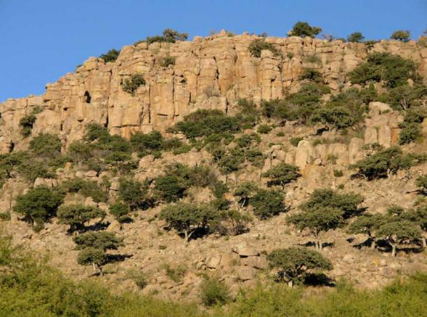 The mummies were found in a cave in Chihuahua, Mexico (pictured).