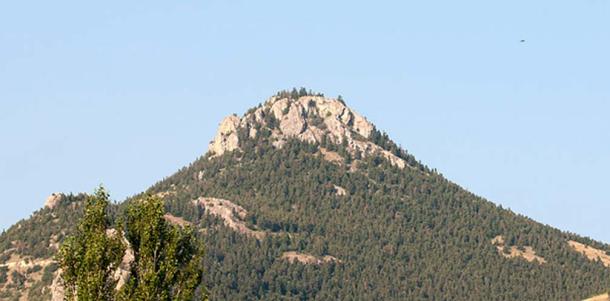 A cedar forest in Turkey.