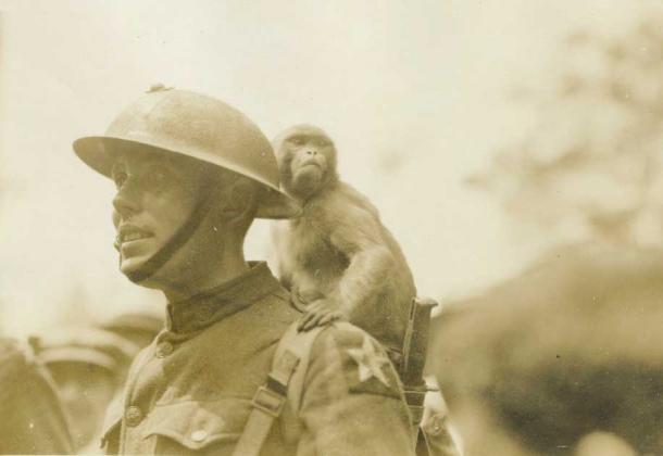 Military monkeys seem to have been common for centuries. Pictured, a Marine and Monkey, 1921 (USMC History Division / CC BY 2.0)