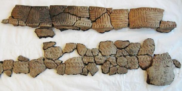 Selection of ceramic sherds.