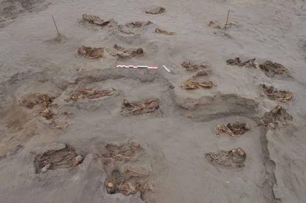 A shocking number of children’s bodies have been found at Huanchaquito  (© 2019 Gabriel Prieto et al / PLoS ONE)